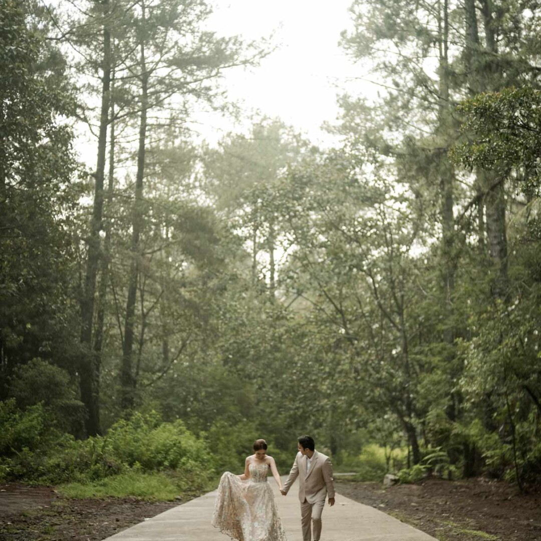 noresize-SIDQIAKANE-COVER